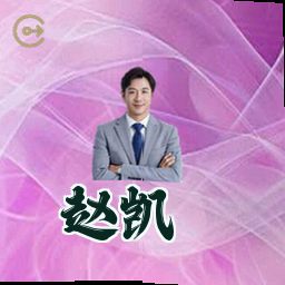赵凯